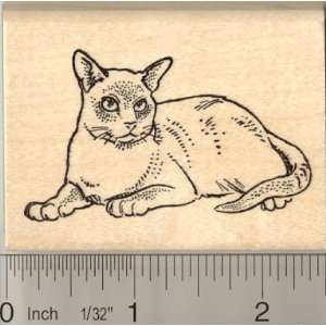  Tonkinese Cat Rubber Stamp Arts, Crafts & Sewing