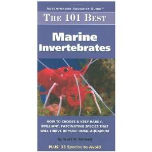 The 101 Best Marine Invertebrates How to Choose (Quantity 