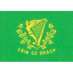 IRISH AMERICAN FLAG