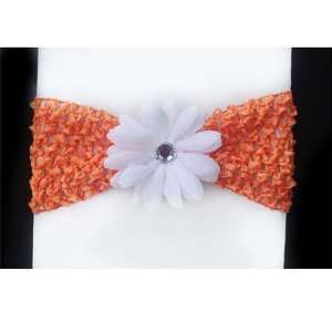   Headband With A Little White Daisy Flower: Health & Personal Care