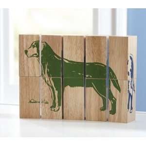  Pottery Barn Kids Wooden Animal Puzzles: Toys & Games