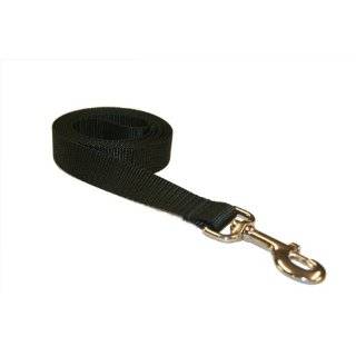   Nylon Webbing Dog Leash 1 wide, 6ft length. Sassy Dog Wear Dog Leash