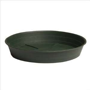   Plant Saucer in Green Size / Pack: 12 / 10: Patio, Lawn & Garden
