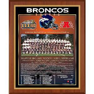  Healy Denver Broncos Super Bowl Xxxiii Champions 13X16 