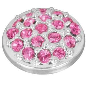  Rose Stones Interchangeable Fashion Magnet Arts, Crafts 