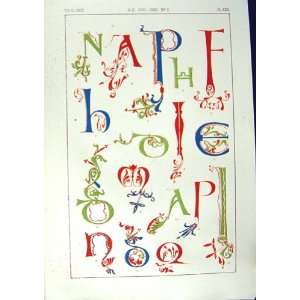   1860 Art Illuminating Alphabet Letters Design Patterns