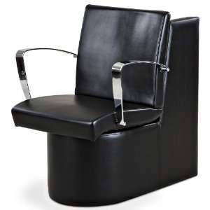  Fontaine Black Dryer Chair: Beauty