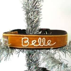   : Belle Hand Embroidered Velvet Personalized Dog Collar: Pet Supplies