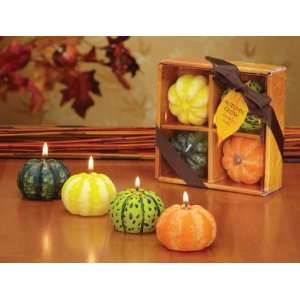  Club Pack of 24 Autumn Glow Unscented Thanksgiving Mini 