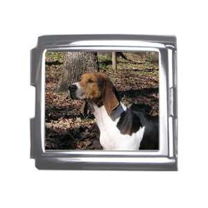  American Foxhound Megalink Italian Charm T0012 Everything 
