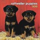   Puppies 2012 Calendar by Brown Trout Publishers (2011, Calendar