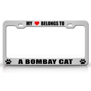  MY HEART BELONGS TO A BOMBAY Cat Pet Auto License Plate 
