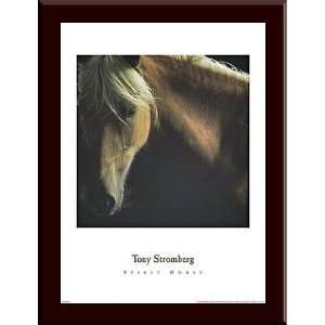  Tony Stromberg,Spirit Horse FRAMED ART 23x30 Everything 