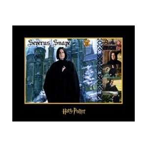   & Wizards of Harry Potter Collection Severus Snape 