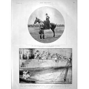   1898 German Emperor Horse Westphalia Flood Manila War