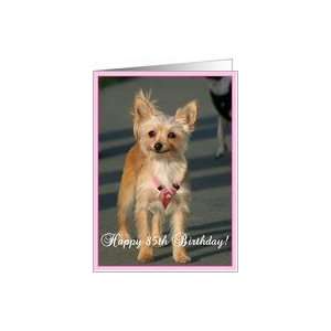  Happy 85th Birthday Chihuahua Dog Card Toys & Games