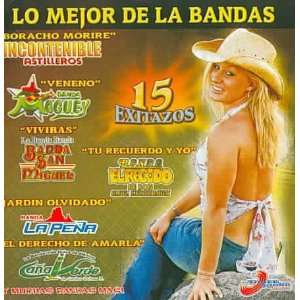  Mejor De Las Bandas 15 Exitos Various Artists Music