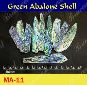 Inlay Material Abalone Shell Blanks   10pcs ( MA 11)  