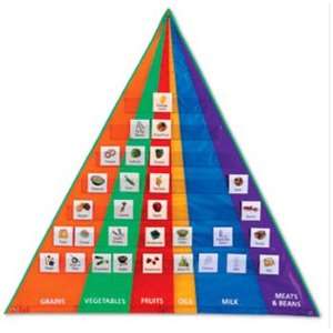  Food Pyramid Pocket Chart W/