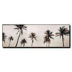 Preston Black & White Palms Canvas Art  Overstock