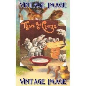   15cm x 10cm) Art Greetings Card Animals Thats The Cheese Vintage Image