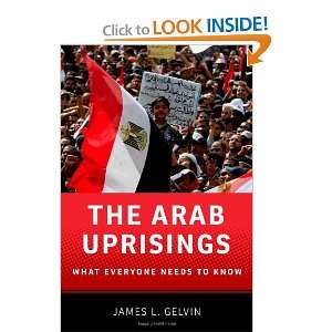  The Arab Uprisings What Everyone Needs to Know 