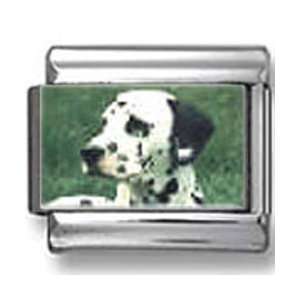  Dalmatian Dog Photo Italian Charm: Jewelry