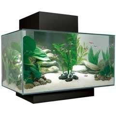 Fluval EDGE Fish Aquarium Tank Set 6 Gallon Black  