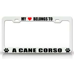  MY HEART BELONGS TO A CANE CORSO Dog Pet Steel Metal Auto 