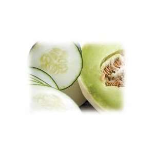   16 oz. Cucumber Melon Alexandrias Fragrance Lamp Oil