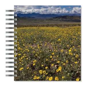 com ECOeverywhere Death Valley in Bloom Picture Photo Album, 18 Pages 
