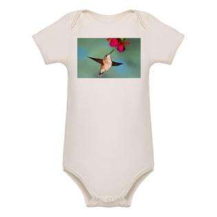 Artsmith Inc Organic Baby Bodysuit Black Chinned Hummingbird at  