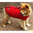ABO Gear Reversible Sport Dog Jacket   Size: XX Large (28   30 D 