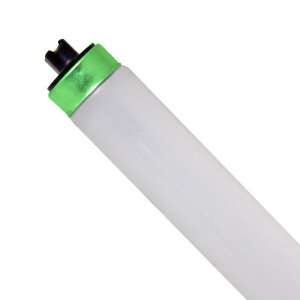     T8 Linear Fluorescent Tube   High Output   4100K   Philips 388108