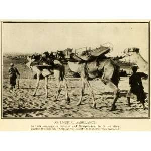  1918 Print Middle East Camels Ambulance Injured Soldiers 