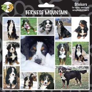 Arf Art Dog Sticker Pack Bernese Mountain Dog  Pet 