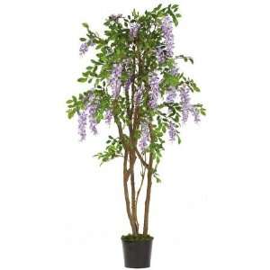   USA zeusd1 CALA 4270504 5 Inch Wisteria Silk Tree