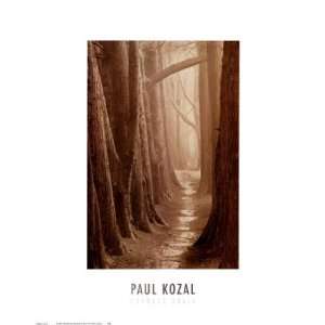 Cypress Trail by Paul Kozal 16x20