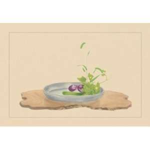  Foxtail Grass, Eggplant, and Cucumber 20x30 poster