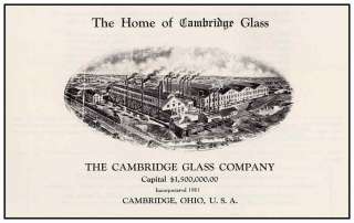 CAMBRIDGE ROSEPOINT 6 X 3 OZ LIQUOR COCKTAIL GLASS  