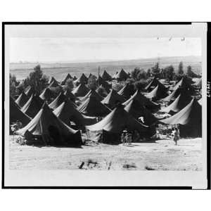  builds homes,immigrants,tents,temporary houses,Jews,Jewish people 