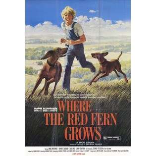 None Where the Red Fern Grows   Movie Poster (11x17) at 
