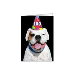  Happy 100th Birthday White Boxer Dog Card: Toys & Games