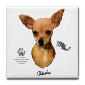   Coaster (Set 4) Chihuahua from Toy Group and Mexico 