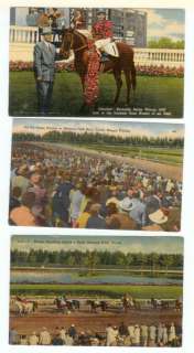 Horse Racing Postcard Lot of Six (6) + Recipe  