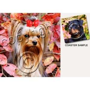  Yorkshire Terrier Dog Drink Coasters: Kitchen & Dining