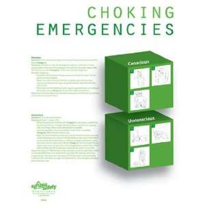 National Safety Compliance Choking Emergency Poster   24 X 32 Inches 