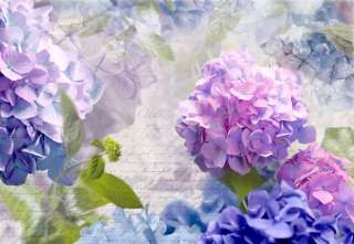 Fototapete Wandbild Otaksa 8 705 Blüten Blau Lila NEU  