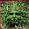 Best of Pagan Folk Various  Musik
