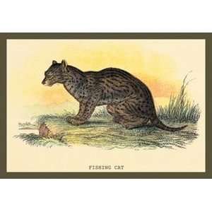 Fishing Cat   12x18 Framed Print in Gold Frame (17x23 finished 